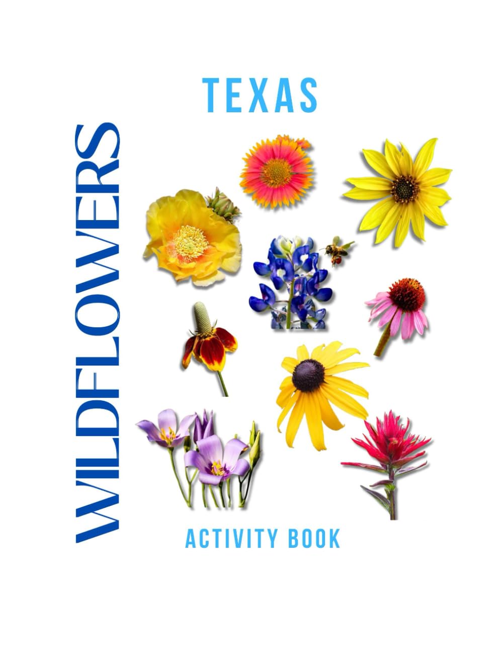 Wildflowers of Texas Activity Book: A Young Explorer's Field Guide to the Native Blooms of the Lone Star State (Texas Nature Explorer Series)