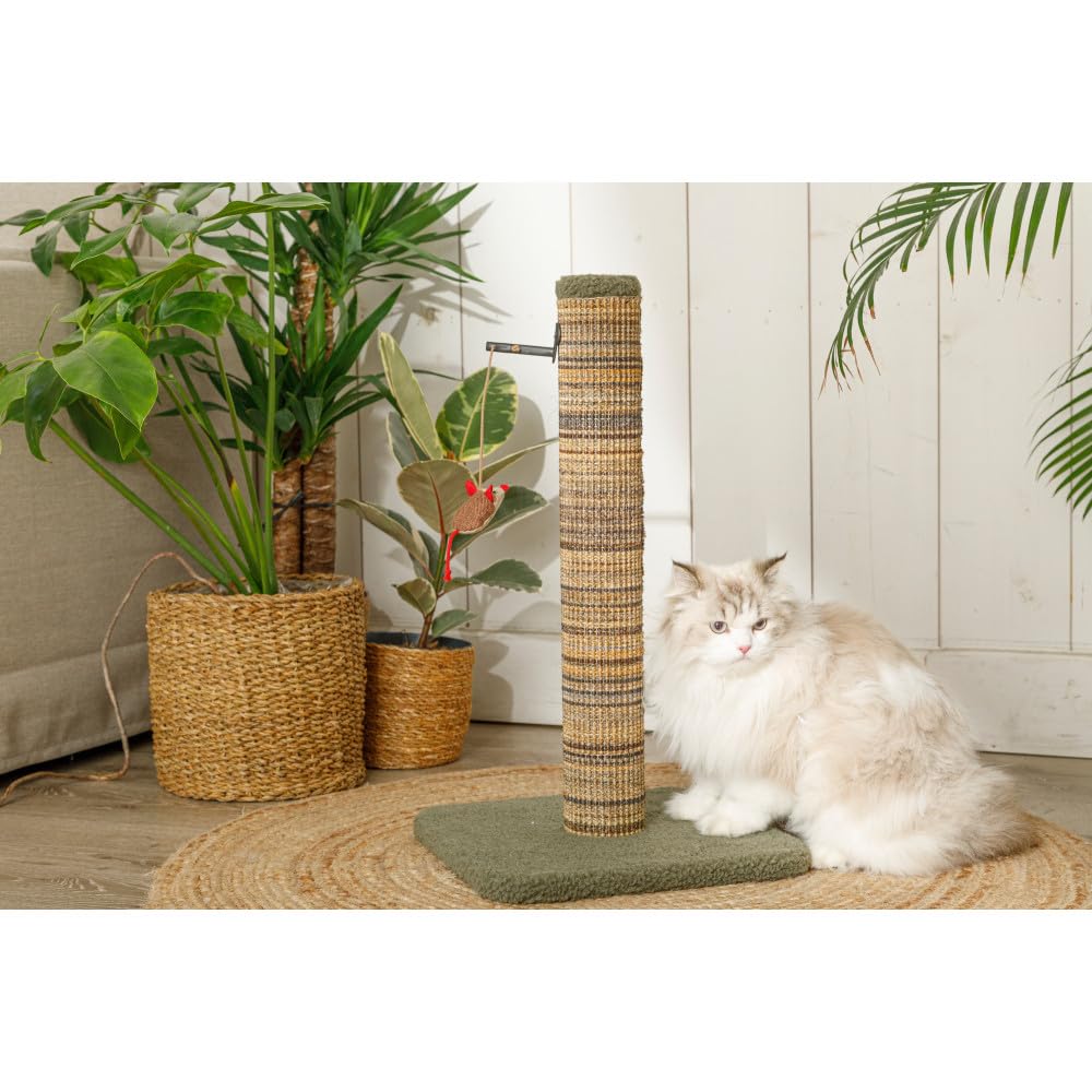 zolux - Poteau à griffer Boréal M Vert H 70 cm pour Chat