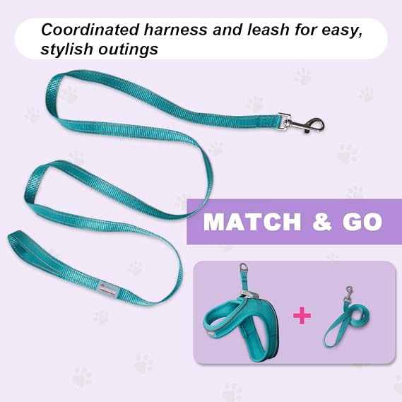Cat Harness and Leash Set for Kittens & Cats, Adjustable Soft Mesh Harness, Lightweight Reflective Vest with Secure Fit, Easy Step-in Design for Walking, Travel & Outdoor Use(Ocean Blue,S)