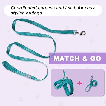 Cat Harness and Leash Set for Kittens & Cats, Adjustable Soft Mesh Harness, Lightweight Reflective Vest with Secure Fit, Easy Step-in Design for Walking, Travel & Outdoor Use(Ocean Blue,S)