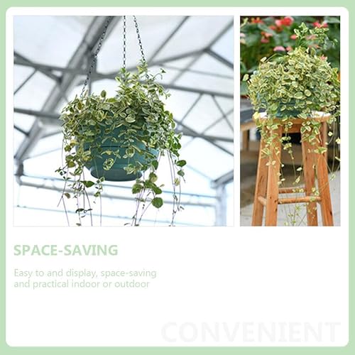 Miniatura 5 de Cabilock Cesta de riego automático, 2 piezas, maceta colgante de riego automático para interiores y exteriores, cesta colgante de plantas verdes,