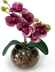Arranjo Mini Orquídea Artificial no Vaso de Vidro Transparente com Casca – Decoração Sofisticada (Roxo)