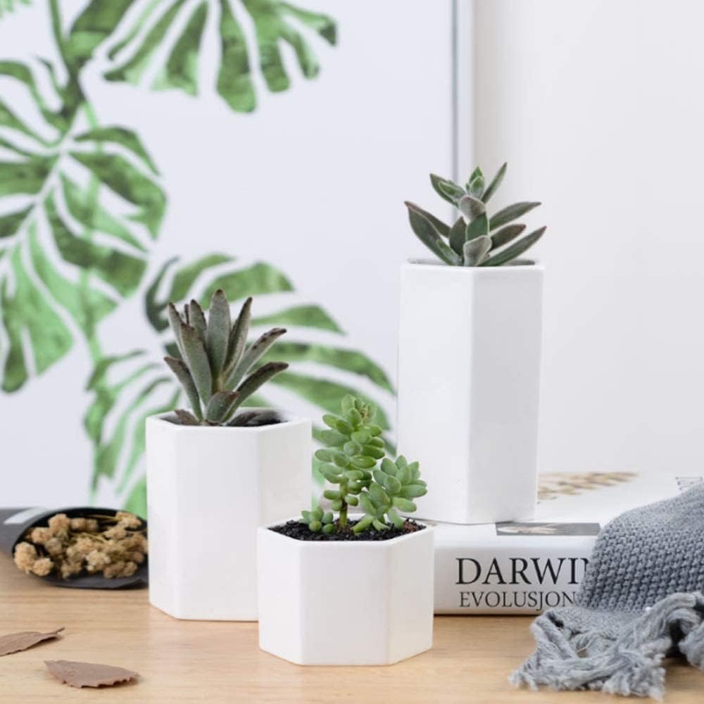 Mała ceramiczna doniczka na sukulenty bonsai urocza biała ceramiczna doniczka w kształcie cylindra z bambusową tacą geometryczne kształty doniczka stół sukulenty doniczka zielona doniczka dekoracja domu (kolor: Wit)