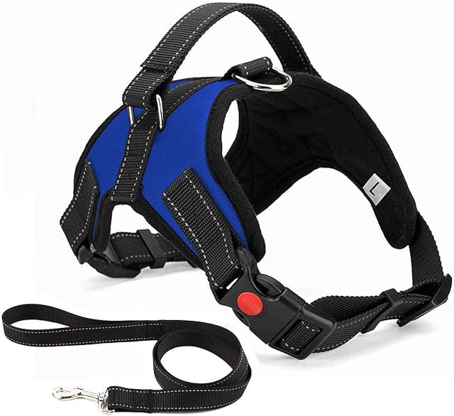 Musonic No Pull Dog Harness, Breathable Adjustable Comfort, Free Leash Included, for Small Medium Large Dog, Best for Training Walking (XS, Blue)