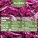 Aunt Nellie's Sweet & Sour Red Cabbage 16 Ounce (Pack of 2)