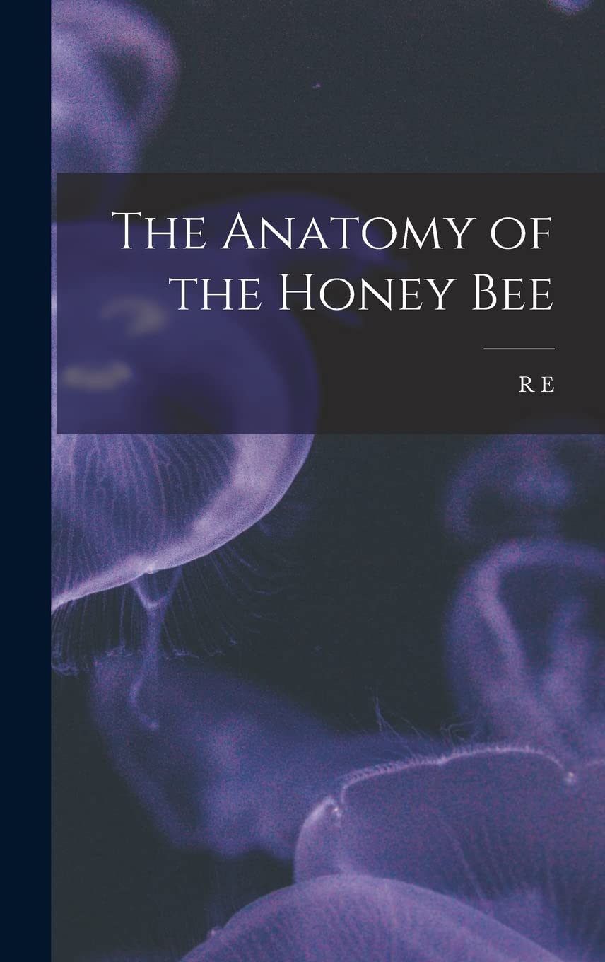 The Anatomy of the Honey Bee