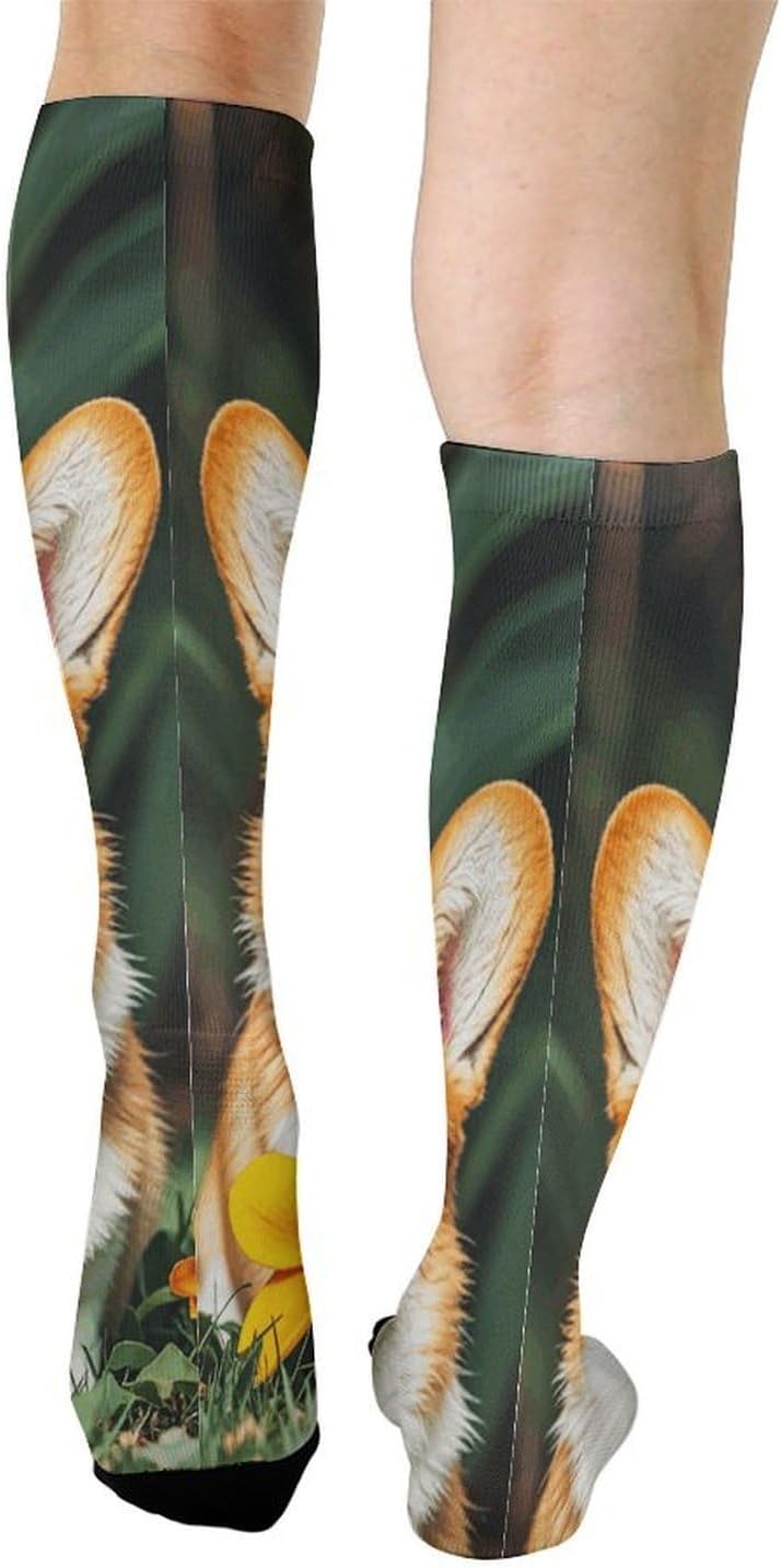 Knee High Socks Corgi Dog Long Tube Boot Seamless Toe