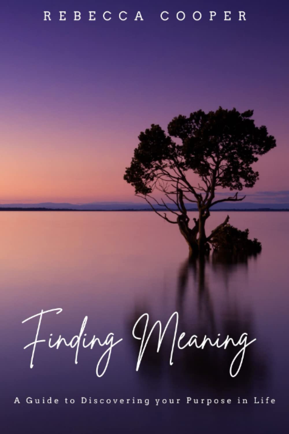 Finding Meaning: A Guide to Discovering your Purpose in Life