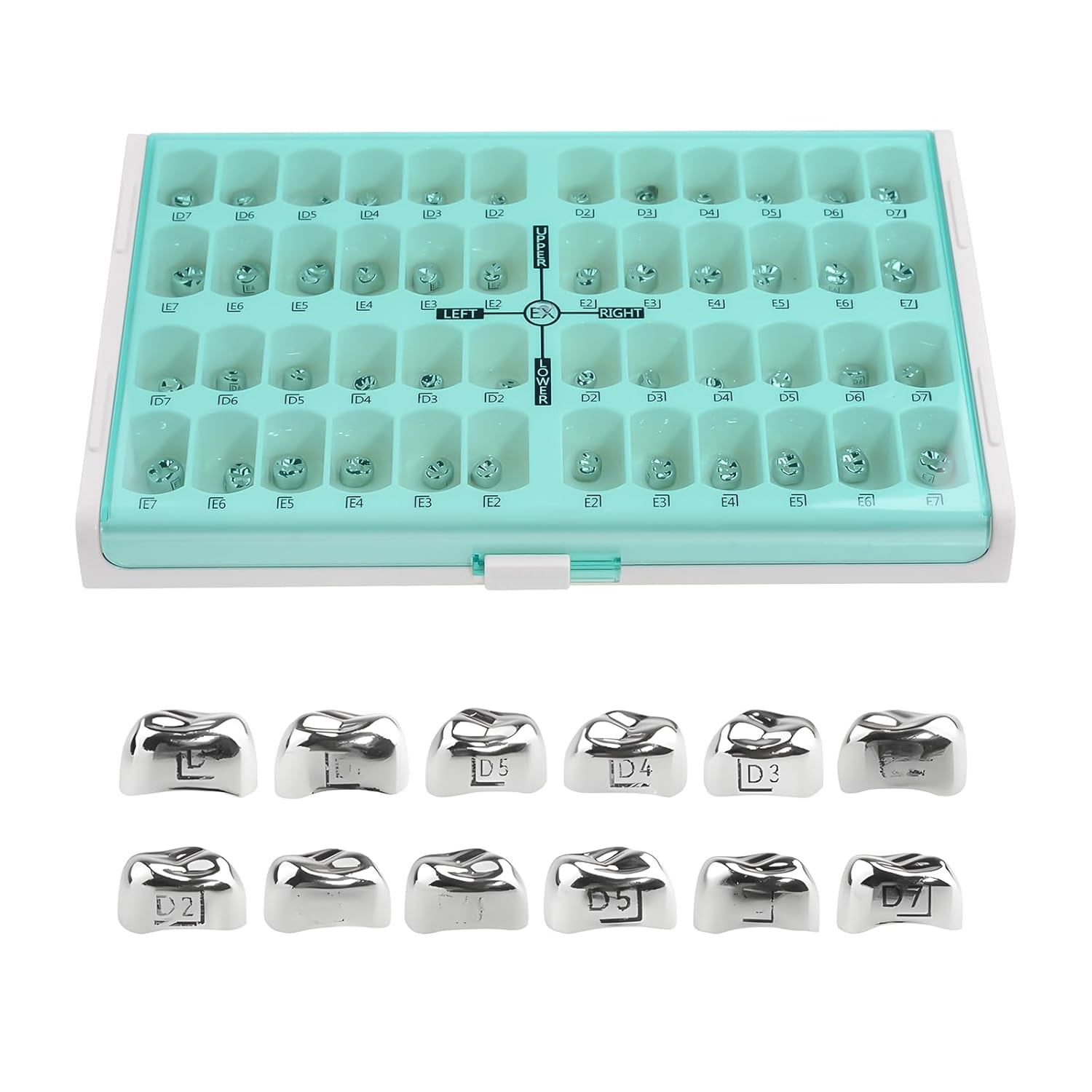 REEHUT Kid Preformed Teeth Crowns Preformed Metal Crown Stainless Steel Crowns 48 Different Sizes Crowns Digital Identification Size