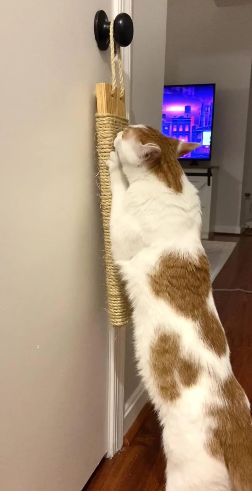 ‎House of Meows | Cat Scratching Post, Hanging Door Cat Scratcher, Sisal Cat Scratcher (B0D5HQHDZK) Amazon Price History, Amazon Price Tracker