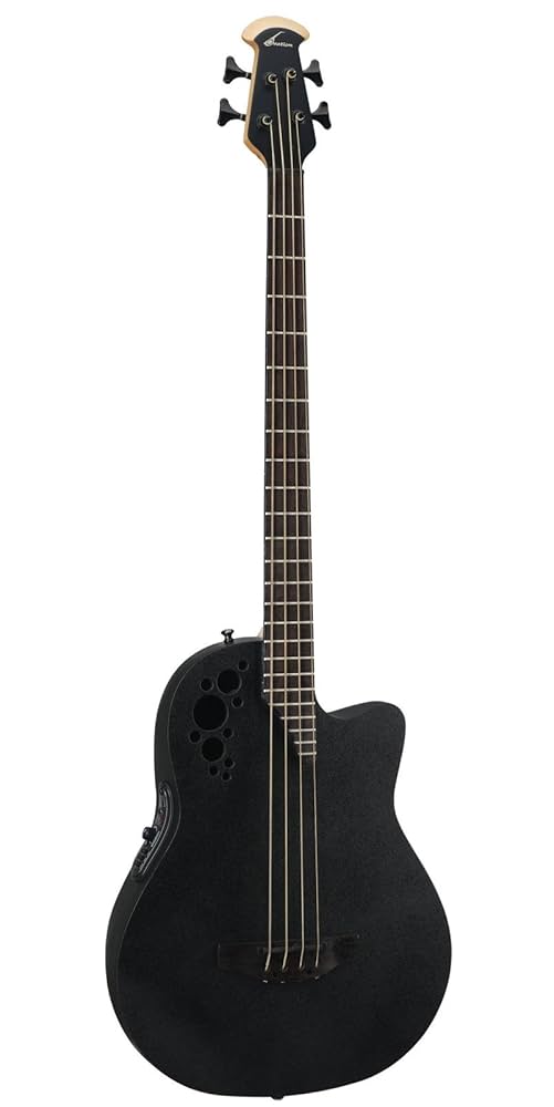 邦楽 The Face in Acoustic Dressed in Black Martin Black-Out Special Exclusive Acoustic-Electric Guitar