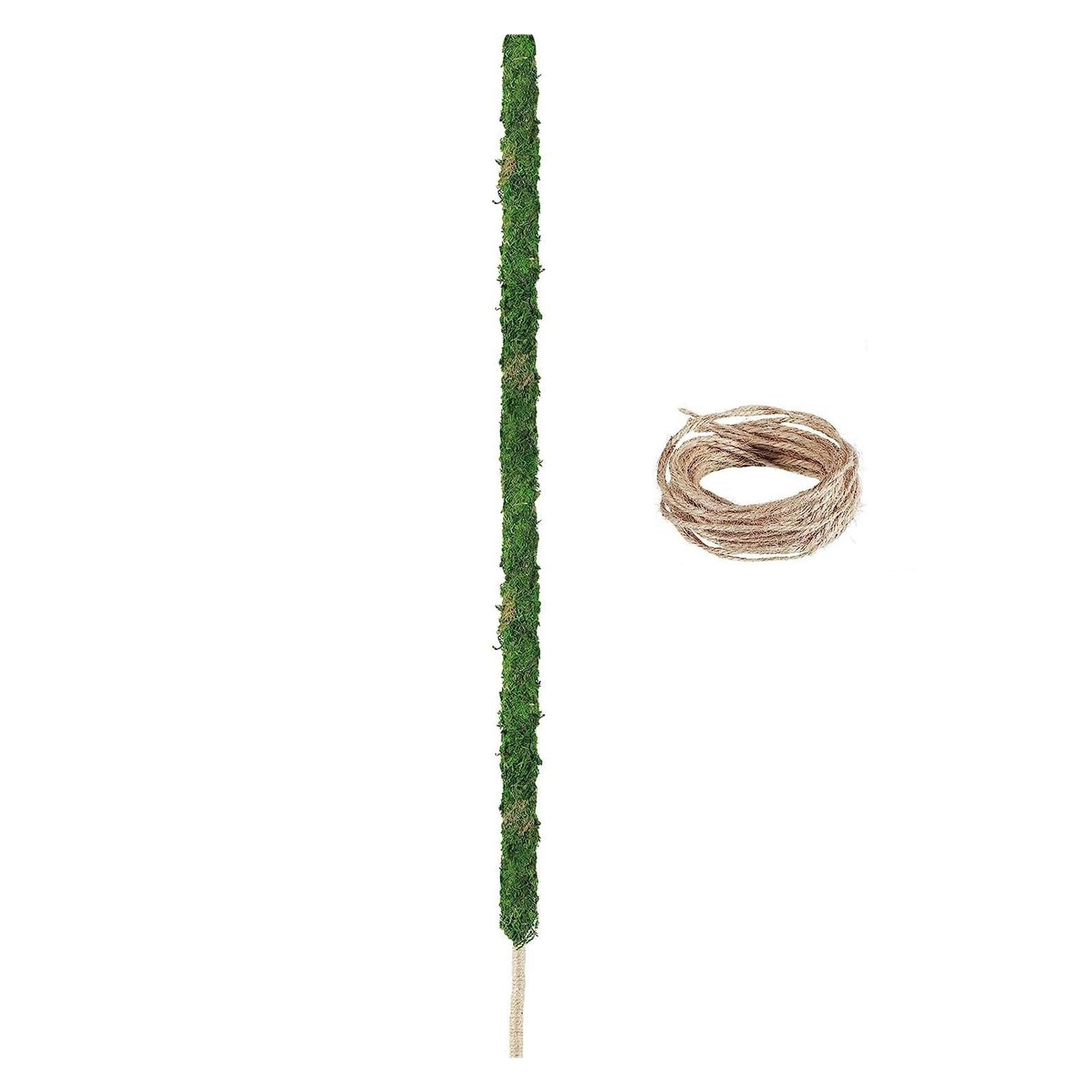 Tuteur Plante Poteau en Mousse Pliable for Plantes, 1 pièce, poteaux Monstera for piquets de Plantes grimpantes for l'intérieur, Support