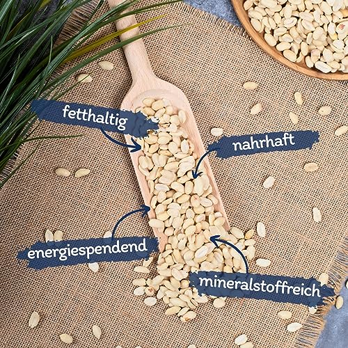 Lyra Pet® | 25 kg Erdnusskerne halbe blanchiert | Nährstoffreiches Streufutter | Wildvogelfutter Ganzjährig | Erdnüsse ohne Schale | Energiespender für Alle Wildvögel | Sommer und Winter