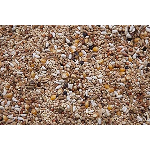 Des Moines Pigeon Feed Dove Mix 20 lbs Cover