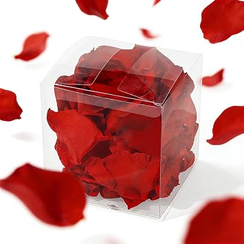 1.76oz50g Real Preserved Red Rose Flower Petals for Wedding, 1.76oz Preserved Petals for Wedding Proposal Romantic Night Valentines Day Decor-Red