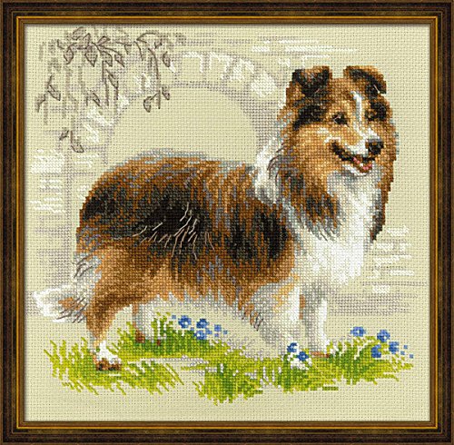Riolis Stickbild-Set Kreuzstich Shetland Sheepdog, Zählmuster