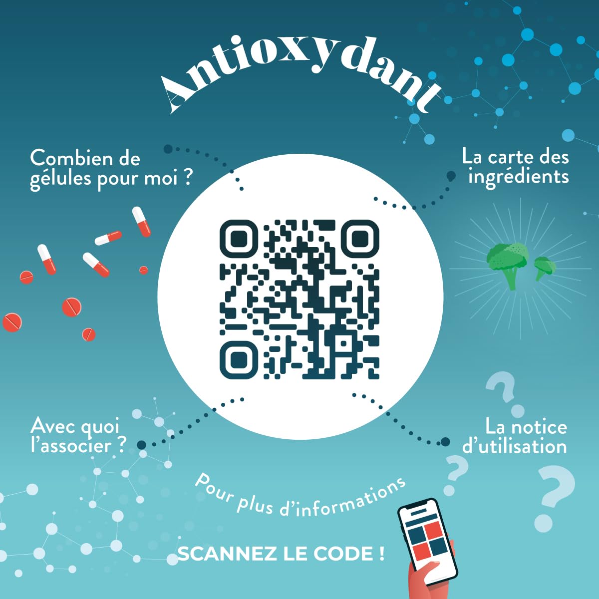 NUTRI & CO Antioxydant - Pépins de Raisin OPC et Sulforaphane de Brocoli - Vit C Précurseur du Collagène - Mix Bio-disponible Anti-âge pour la Peau - 60 Gélules Vegan - Fabriqué en France