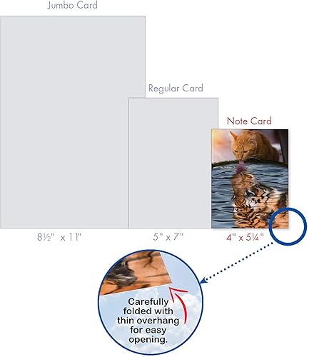 Miniatura 7 de The Best Card Company - 20 tarjetas surtidas de animales a granel en caja (4 x 5.12 pulgadas) (10 diseños, 2 de cada uno) - Aspiraciones