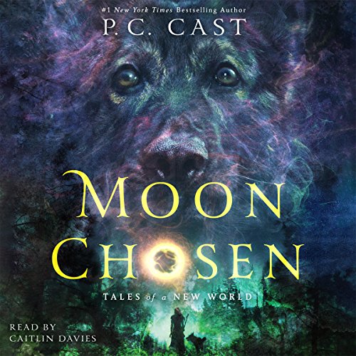 Cover art for Moon Chosen