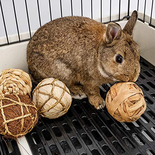 Andwe Small Animals Play & Activity Balls Rolling Chew Toys For Rabbits Guinea Pigs Chinchilla thumb #2