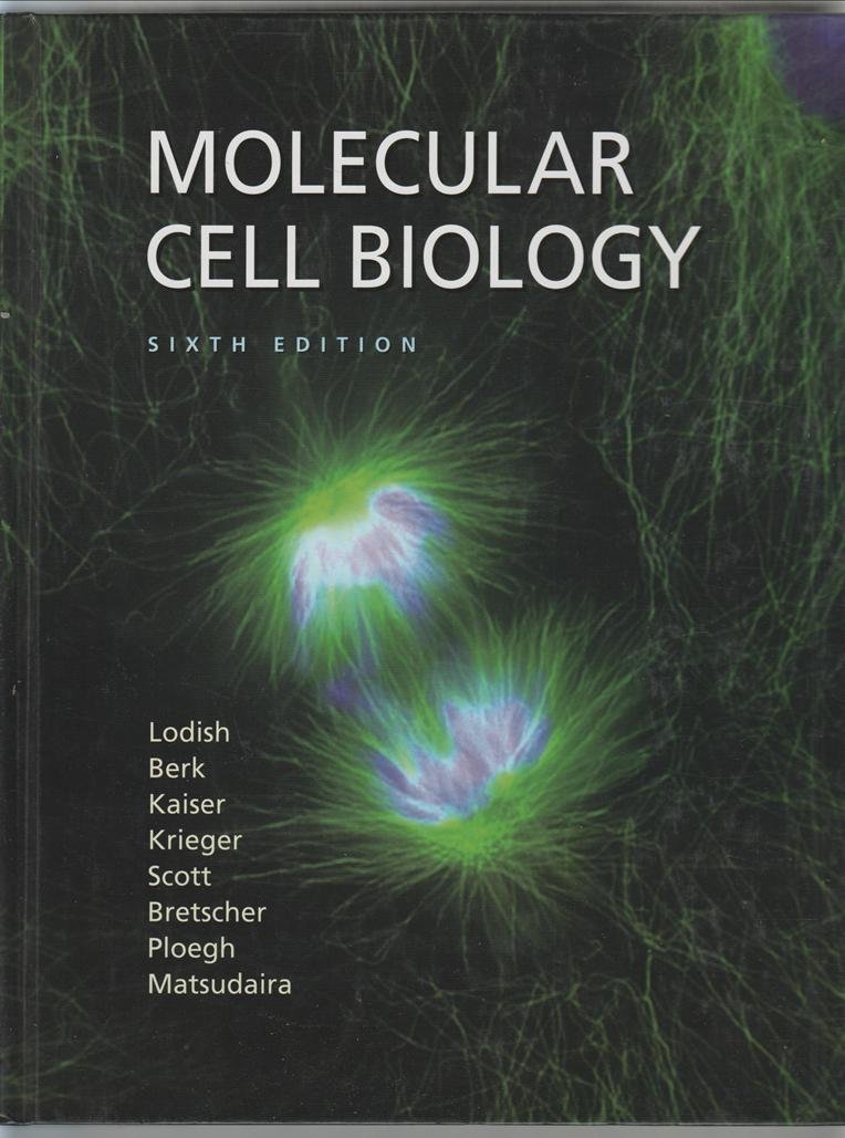 Molecular Cell Biology Hardcover – 1 August 2007
