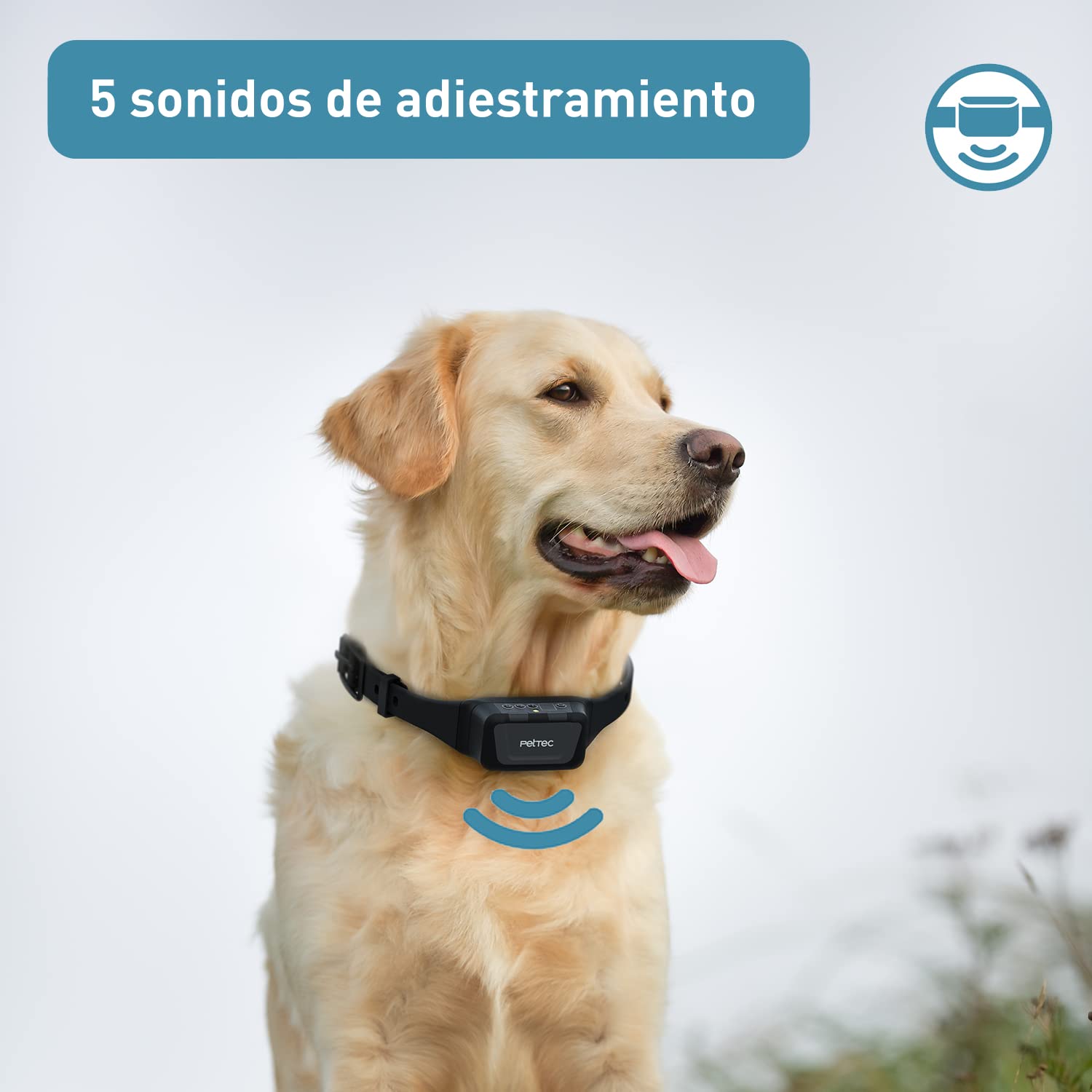 PetTec Collar de Pulverización con Mando a Distancia, hasta 600m - Collar Antiladrido de Entrenamiento Pulverizador, Remoto y Resistente al Agua, Dispositivo de Entrenamiento - Seguro para tu Perro