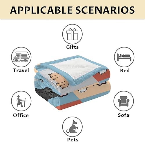 Miniatura 6 de Manta de bulldog francés para niñas y niños, tamaño de manta de 50 x 60 pulgadas, manta de felpa suave y mullida para regalo, manta colorida y