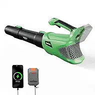 WORKPROX Leaf Blower Cordless, 20V Electric Blower with 4.0Ah Type-C Charging Battery, 89.5MPH 500CFM, Lightweight Handheld Mini Blowers for Lawn Care, Patio Cleaning, Dust, Blowing Leaves