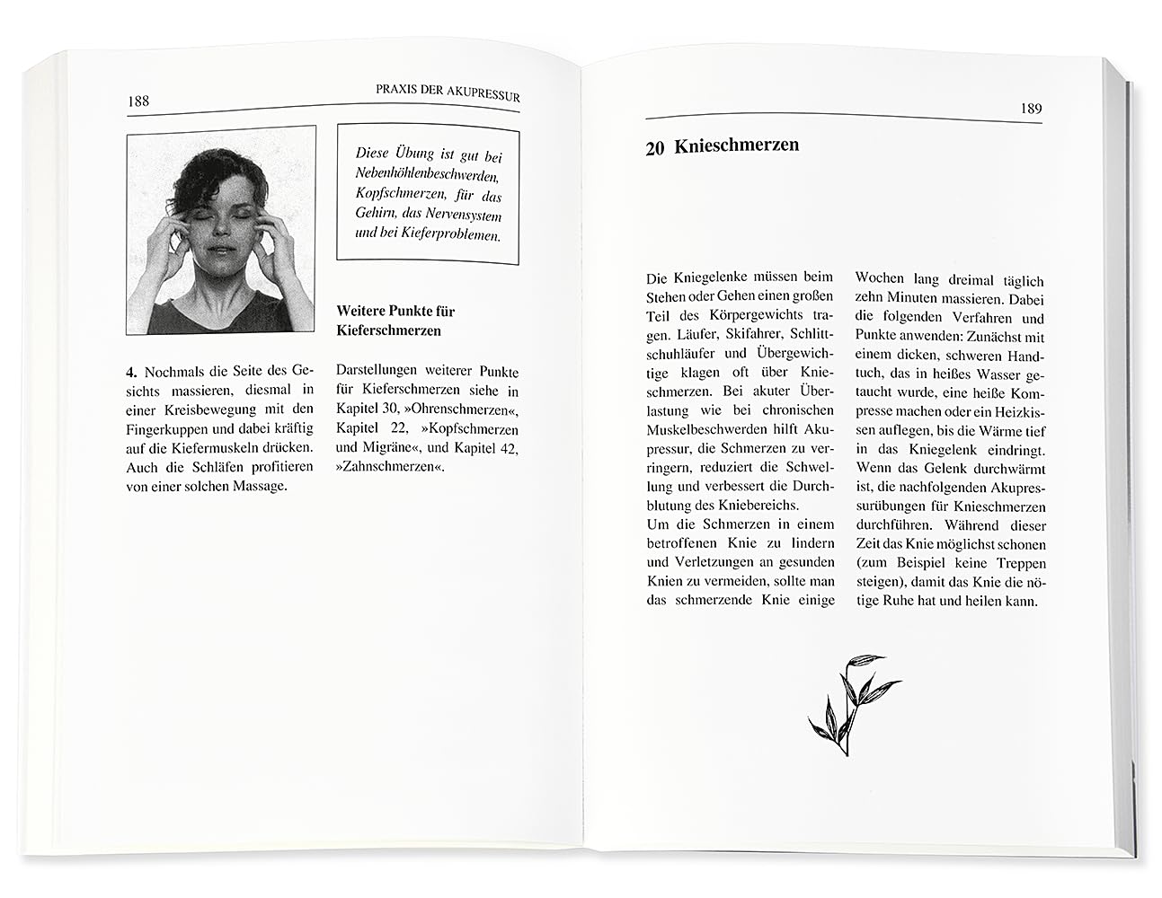 Heilende Punkte: Akupressur zur Selbstbehandlung von Krankheiten