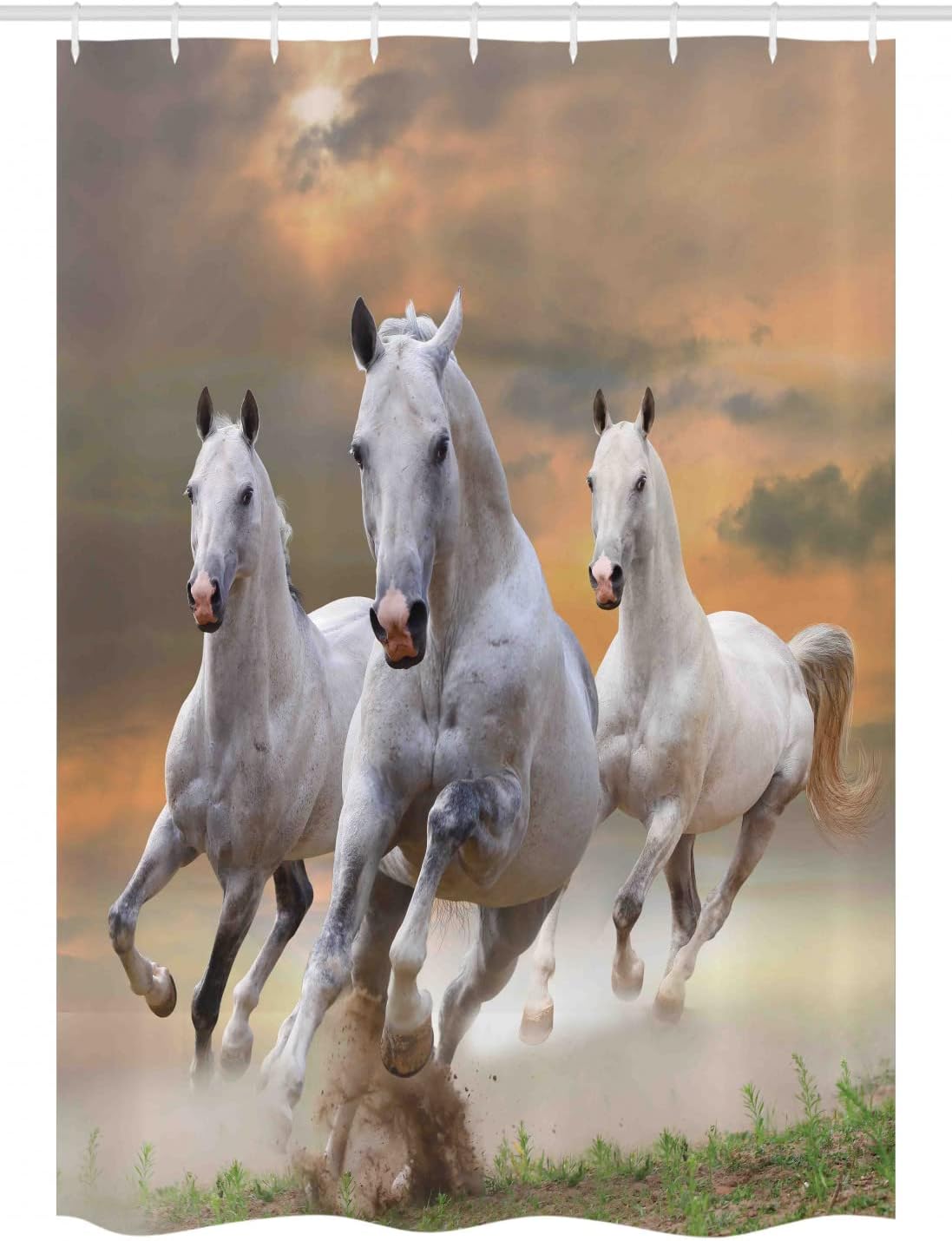 Ambesonne Horses Stall Shower Curtain, Stallion Horses Running on a Sky Background Male Champions Print, Fabric Bathroom Decor Set with Hooks, 54" W x 78" L, White Orange