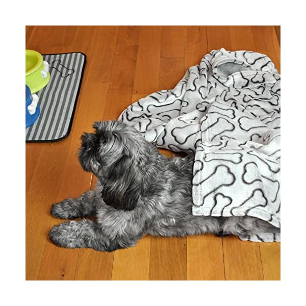 bone dry dog blanket