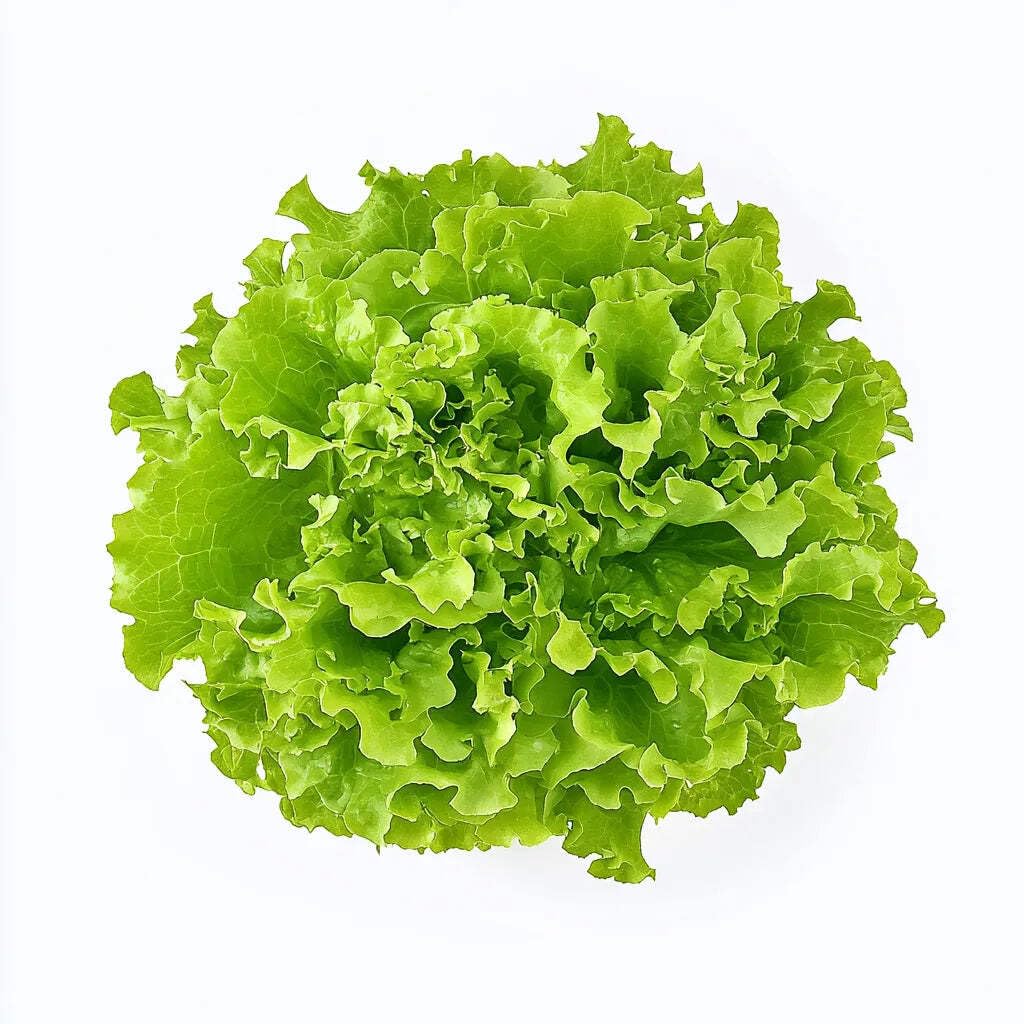 Coffret de Graines - Spécial Salades - SemiSauvage Permaculture