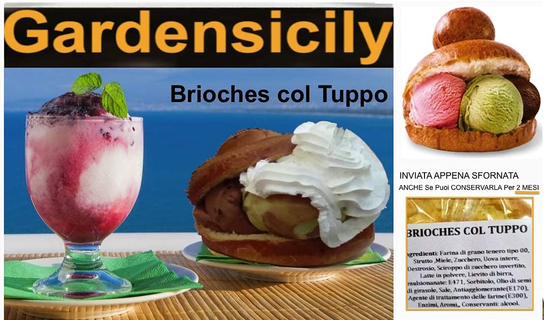 Brioche Siciliane (confezione 26 pz) per Gustare un Gelato o Una Granita con il vero gusto di Sicilia CONFEZIONATE SINGOLARMENTE
