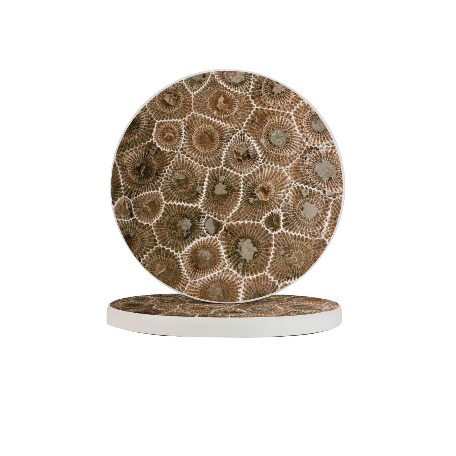 Petoskey Stone Six Piece Coaster Heat-Resistant Reusable Saucers for Drinks Wine Glasses Plants Cups Mugs