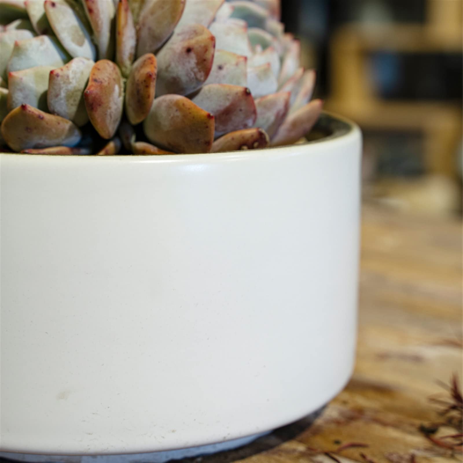 Doniczka na rośliny doniczkowe, doniczka na sukulenty, biała mini doniczka ceramiczna 4,3 cala, porcelanowa doniczka cylindryczna z otworem drenażowym