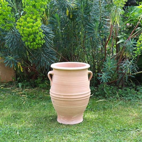 Palatina Werkstatt Terracotta Amphore Thymus 40cm - 100% Handgefertigtes Unikat - Exklusive winterfeste Amphore für den Garten- & Innenbereich