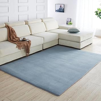 Solid Color Coral Fleece Carpet For Modern Living Room Tea Table Rug Bedroom Play Crawling Mat Soundproof,gray,50X80cm19.6x31.5in