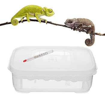 Amazon | POPETPOP 卵 孵卵器 インキュベーター 12個入 孵卵