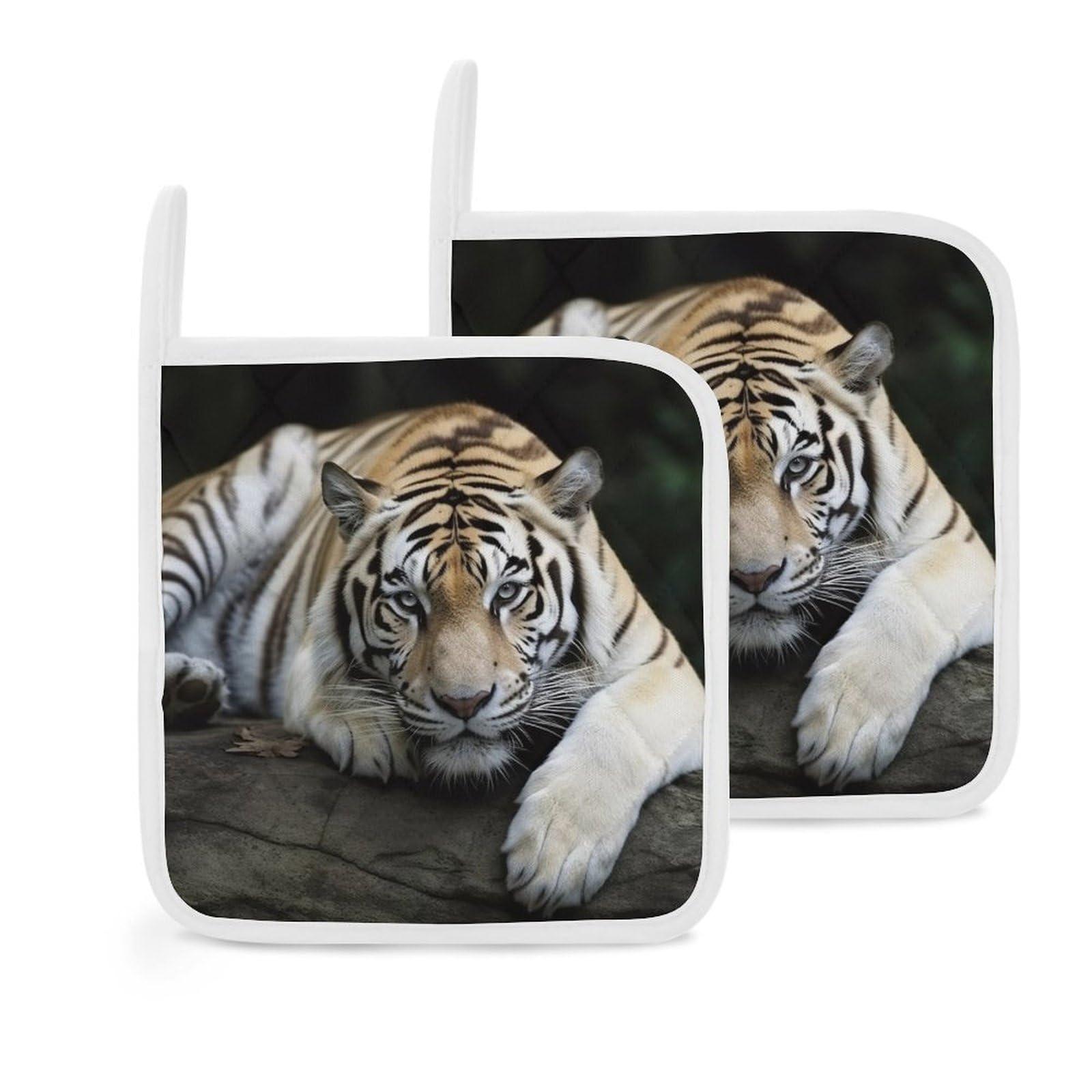 Pot Holders Set of 2 Kitchen Heat Resistant Potholders Tiger Lie On Rock Cotton Lining Oven Hot Pads for Cooking Baking BBQ Microwave Kitchen Accessories