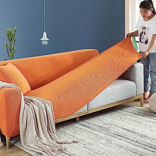 Funda para sofá universal elástica y protector de muebles resistente al desgaste para gatos 3