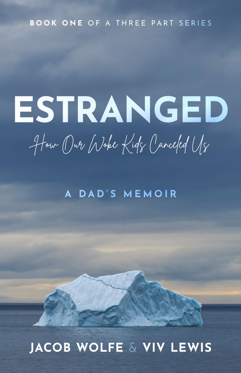 Estranged: How Our Woke Kids Canceled Us: A Dad's Memoir
