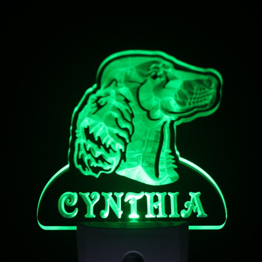 ADVPRO ws1072-tm Irish Setter Dog Personalized Night Light Name Day/Night Sensor LED Sign