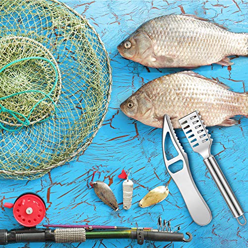Écaille de poisson en acier inoxydable pour retirer les squames sans effort, pack de 4 - 8