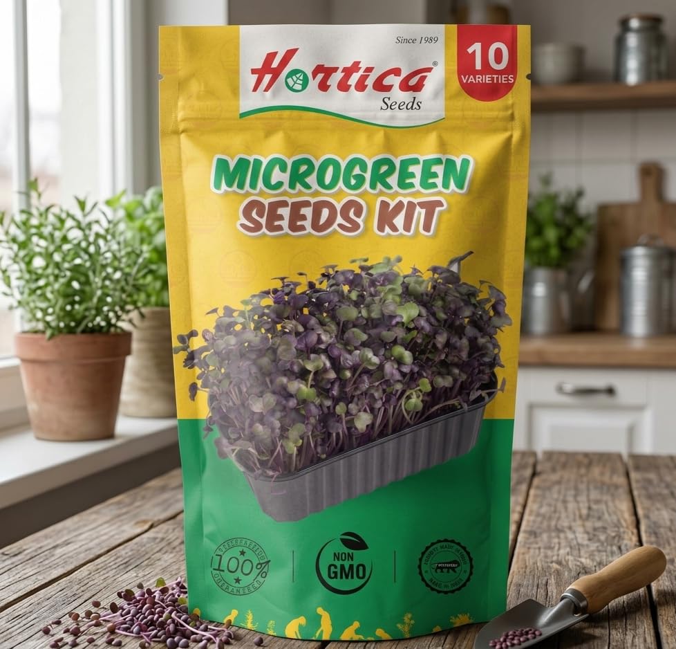 Image of Microgreen Seeds Kit | Pack of 10 Varieties - 10,000+ seeds | High Germination | Easy to grow