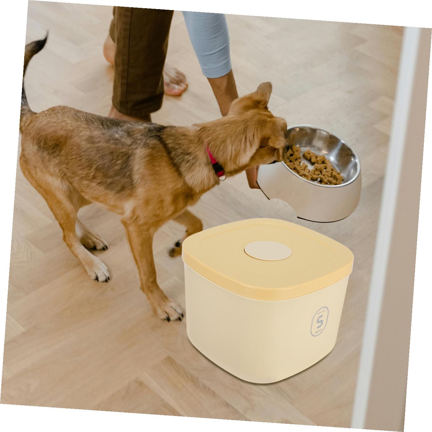 Alasum Vacuum Sealed Dog Food Storage Bucket Airtight Pet Food Container Small Yellow Moisture-proof Bin and Snacks