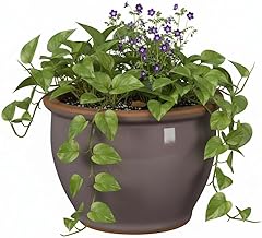 Frost-Resistant Ceramic Planters - Weatherproof Planters for Garden & Patio in Cream, Lavender, Soft Blue. Sizes from 18 cm - 38 cm (Lavender, 38 cm x 27 cm)