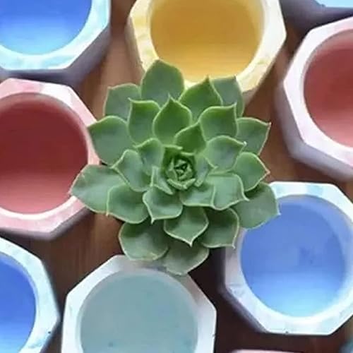 Miniatura 5 de Molde de silicona de hormigón, 3 piezas de moldes de silicona para macetas de plantas suculentas, moldes de silicona para hormigón, moldes de vidrio