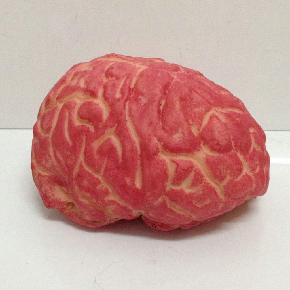 NUOBESTY Scary Simulation Heart Halloween Prop Realistic Human Organ Decoration for Haunted House Party Prank Toy 5.5X3.1X2.4 Inch