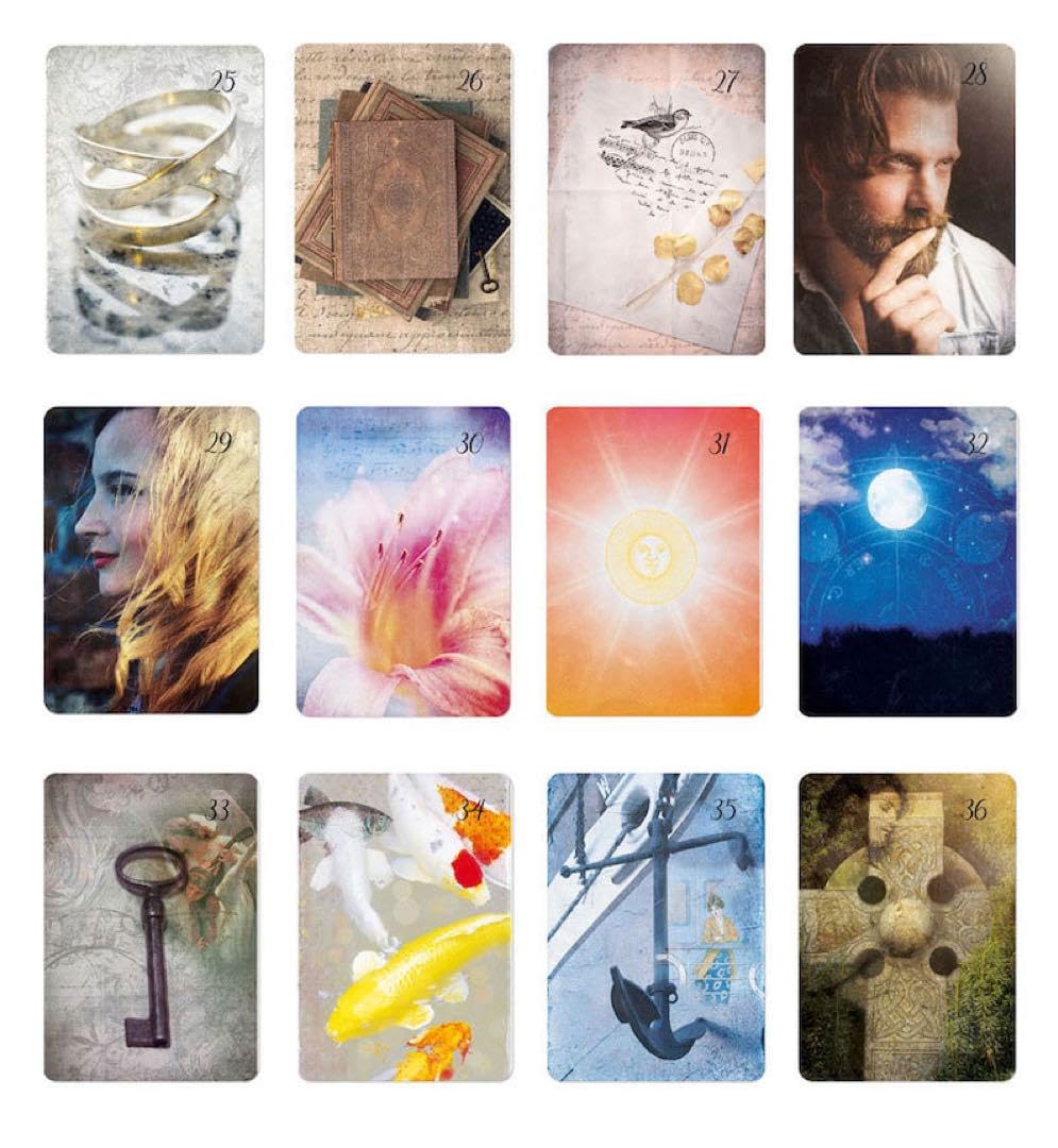 Amazon.co.jp: リヒトブリックルノルマン＊ルノルマンカード