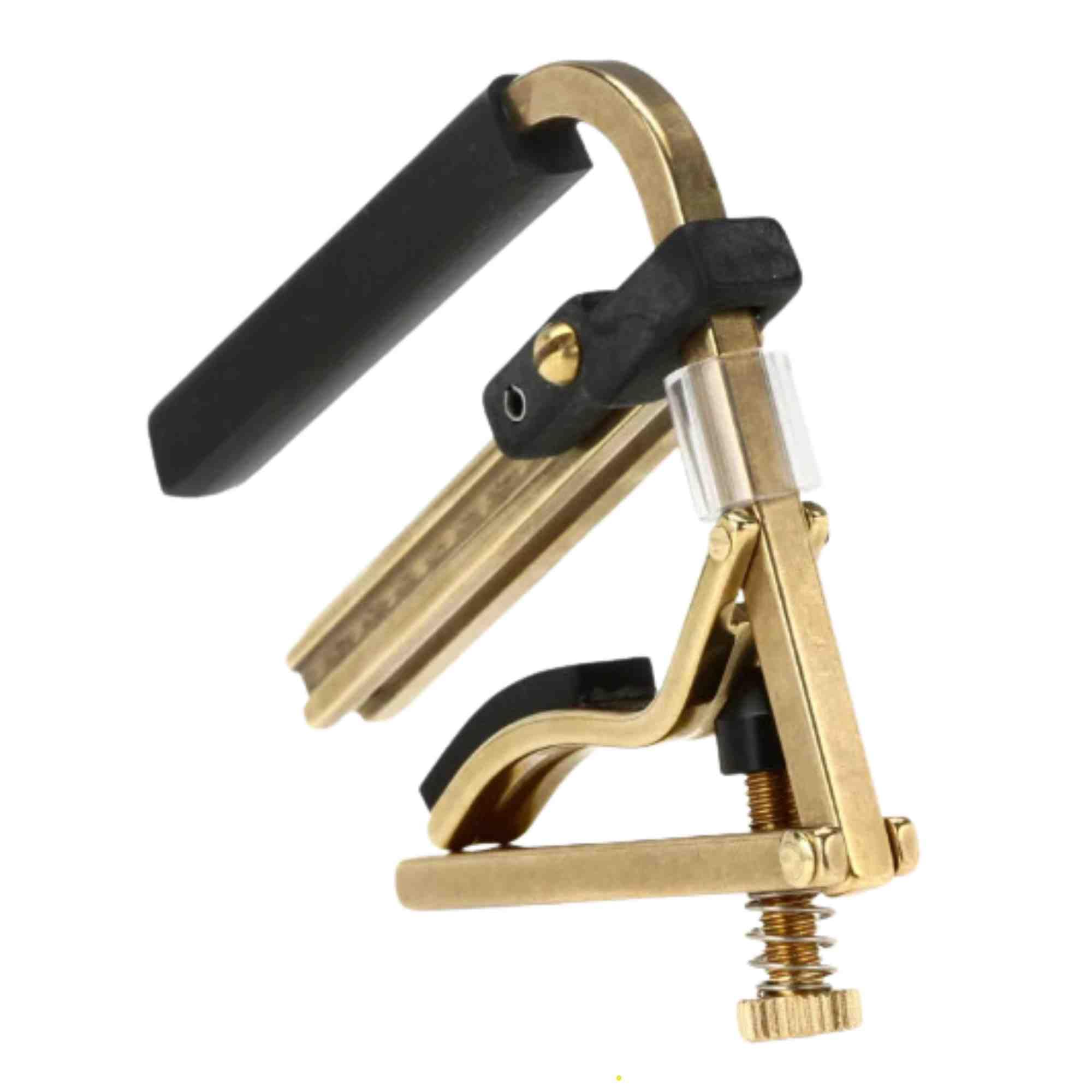 Shubb C6B Dobro Capo (japan import)